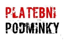 Dodací a platební podmínky v zahraničním obchodě, rizika a jak se proti nim zajistit, platební a zajišťovací instrumenty a jak je správně využít