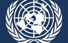 Obchodní příležitosti k dodávkám zboží a služeb do OSN