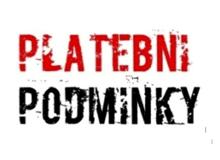 Dodací a platební podmínky v zahraničním obchodě, rizika a jak se proti nim zajistit, platební a zajišťovací instrumenty a jak je správně využít 