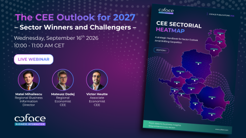 The CEE outlook for 2027.png