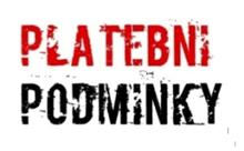 Dodací a platební podmínky v zahraničním obchodě, rizika a jak se proti nim zajistit, platební a zajišťovací instrumenty a jak je správně využít 